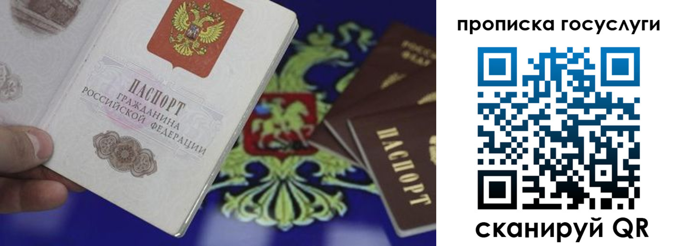 регистрация для школы в Гвардейске
